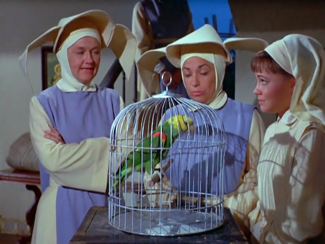 Click to watch 'Polly Wants a Crack in...' (popup) The Flying Nun